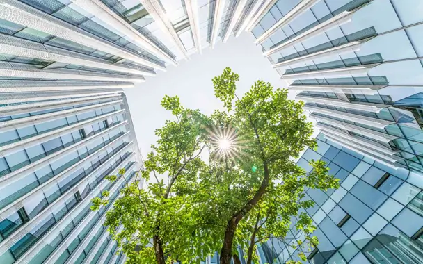 environmental responsibility